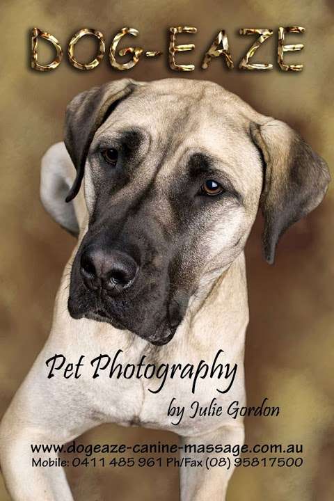 Photo: Dogeaze Pet Photography